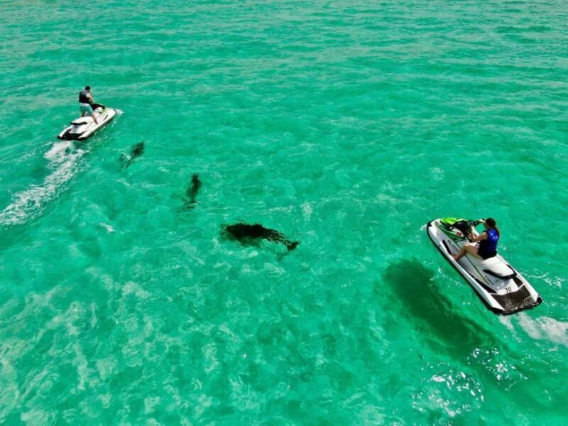Destin Jet Ski Dolphin Tour with Gilligan's Watersports - Who Should Consider This Tour?