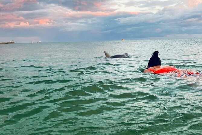 Destin Private Boat Tours Dolphin Crab Island Snorkel Sunset - Good To Know  
