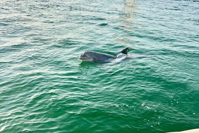 Destin Private Boat Tours Dolphin Crab Island Snorkel Sunset - The Experience with Guides & Group Dynamics