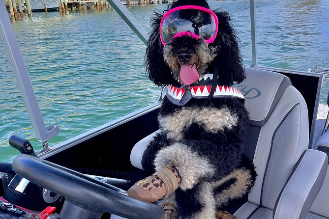 Destin- Private Chartered Slide Pontoon Boat-Up to 6 Guests - The Sum Up