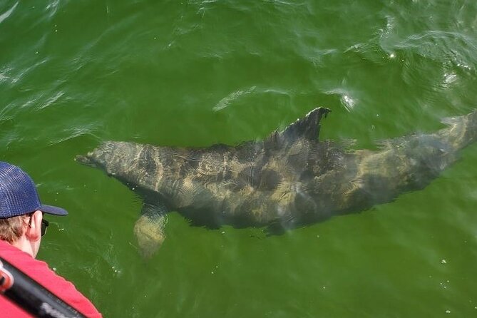 Destin Private Family Boat Charter - Additional Information