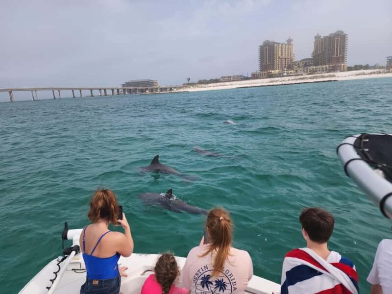 Destin: Private Morning Dolphin Cruise - Good To Know  