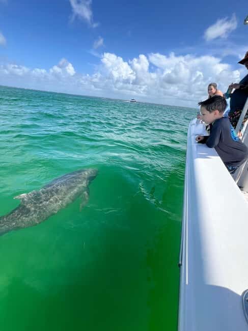 Destin: Private Morning Dolphin Cruise - Practical Tips for Your Dolphin Cruise  