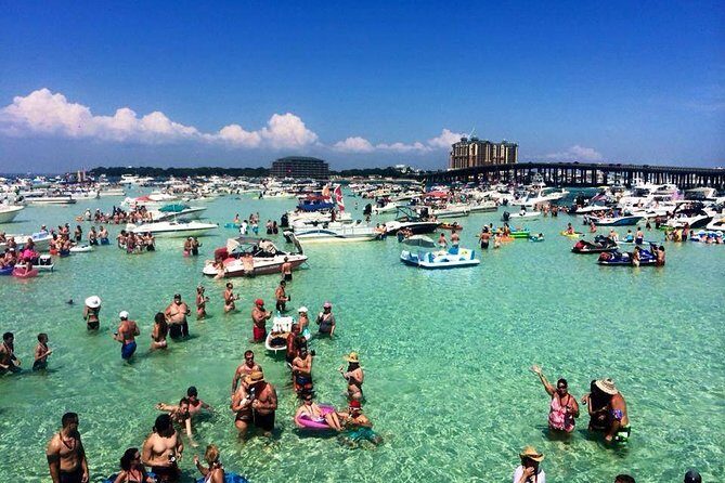 Destin: Private Snorkel/Shelling/Eco Excursion for Up to 28 - The Value of a Private Tour