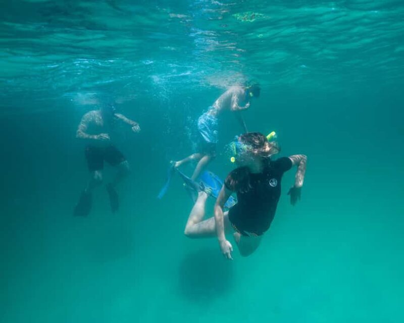 Destin: Reef Snorkeling Adventure - What Makes This Reef Snorkeling Tour Special?