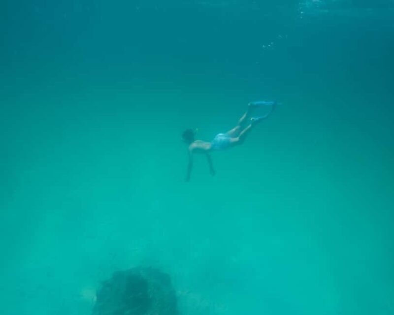 Destin: Reef Snorkeling Adventure - Practical Details to Keep in Mind