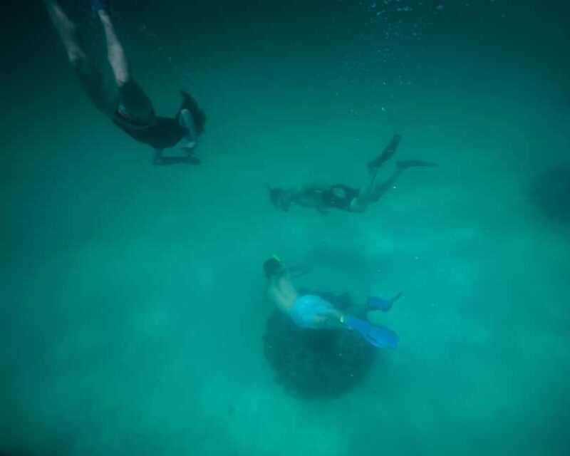 Destin: Reef Snorkeling Adventure - FAQ