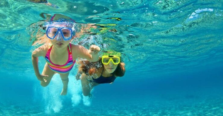 Destin: Snorkeling and Dolphin Watching Cruise - Booking Details