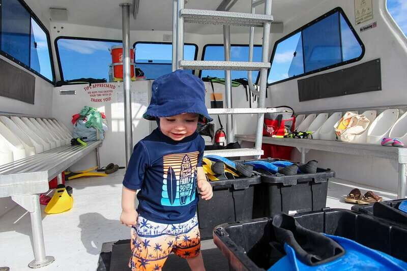 Destin: Snorkeling Cruise with 2 Stops and Dolphin Watching - Good To Know