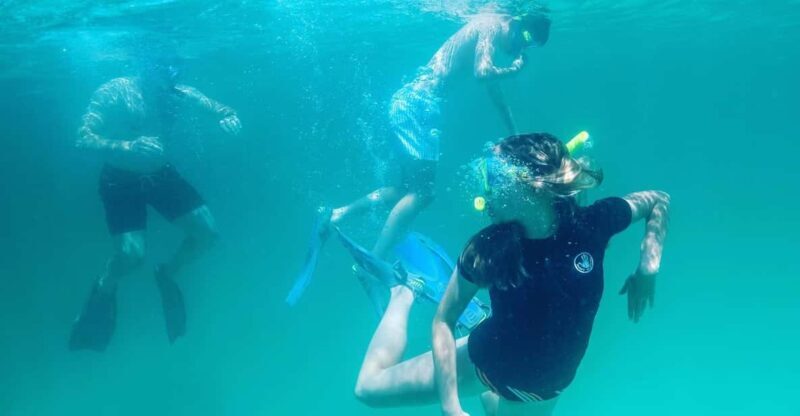 Destin: Snorkeling, Dolphins, and Crab Island - What Makes This Tour Stand Out?