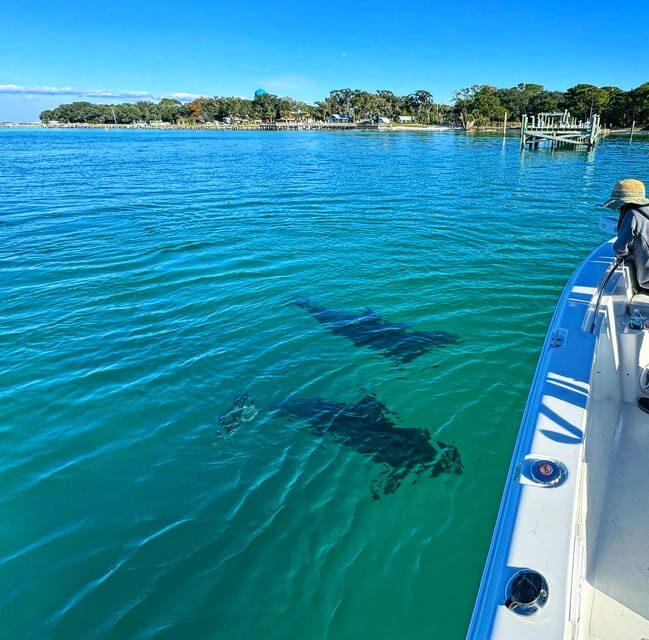 Destin: Snorkeling, Dolphins, and Crab Island - FAQ