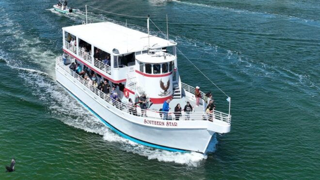 Destin: Sunset Dolphin Cruise - Dolphin Sightings