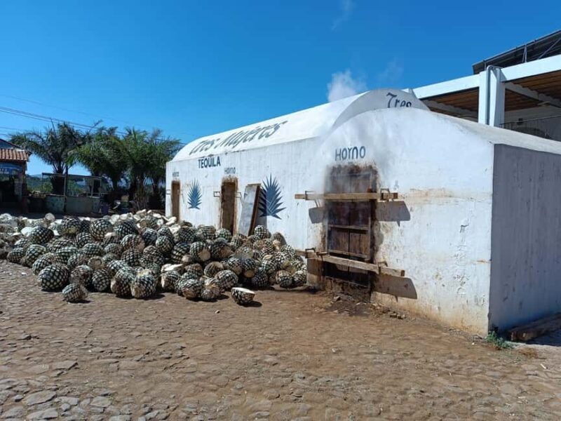 Destino Tequila: Experiencia Premier Privada - The Sum Up: Is It Worth It?