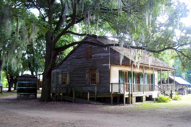 Destrehan Plantation and Large Airboat Tour Combo From New Orleans - Swamp Tour Highlights
