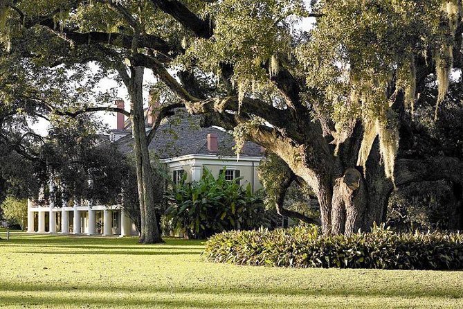 Destrehan Plantation and Swamp Tour Combo From New Orleans - Viator and Tour Details