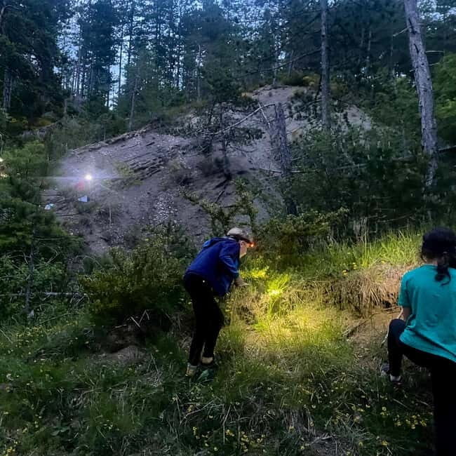 Detective Club: a nature investigation game for the whole family! - Good To Know  