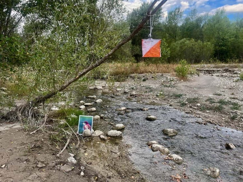 Detective Club: a nature investigation game for the whole family! - An In-Depth Look at the Detective Club Experience