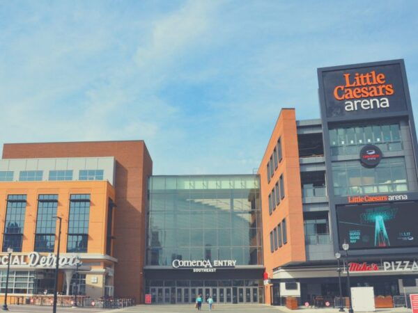Detroit: Detroit Pistons Basketball Game Ticket - Venue Entry and Meeting Point