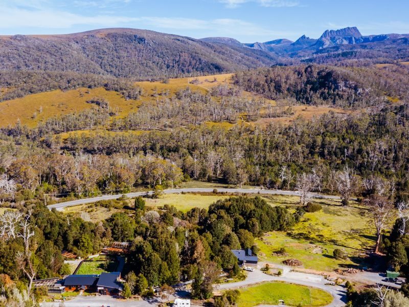 Devils at Cradle Day and Night Animal Feeding Tour - Devils, quolls and the sanctuary’s wider story