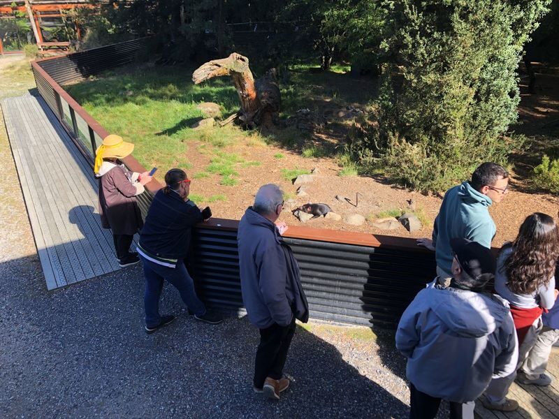 Devils at Cradle Wildlife Park Day Keeper Tour and Entry - What makes the Keeper’s tour worthwhile