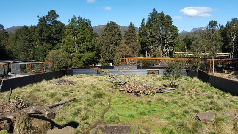 Devils at Cradle Wildlife Park Day Keeper Tour and Entry - Is Devils @ Cradle worth booking?