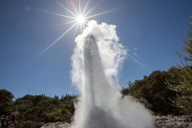 Devils Bath Experience - Private Tour to Wai-O-Tapu & Lake Taupo - Tour Highlights