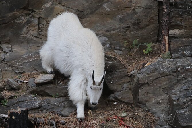 Devils Tower, Spearfish Canyon and Northern Black Hills Adventure - Overview and Logistics