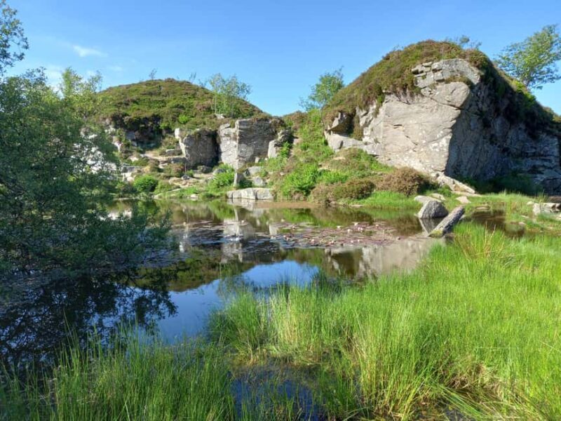 Devon: Dartmoor National Park Guided Tour - Good To Know