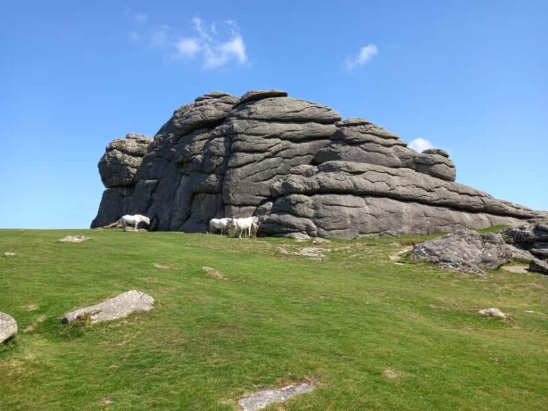 Devon: Dartmoor National Park Guided Tour - Final Thoughts: Is This Tour Worth It?