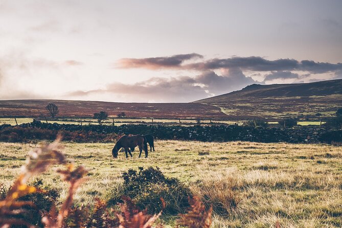 Devon Tour App, Hidden Gems Game and Big Britain Quiz (7 Day Pass) UK - Important Information for Participants