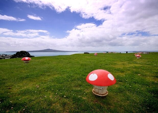 Devonport Explorer Tour Volcanoes, Heritage and Cultural Sites - Volcano Exploration