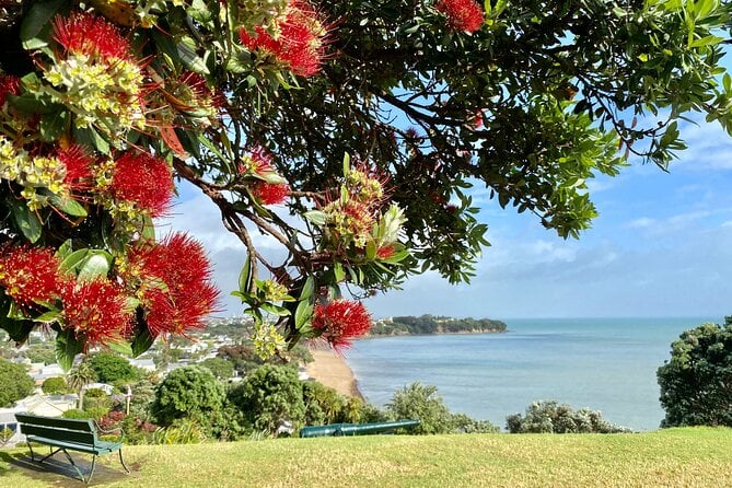 Devonport Explorer Tour Volcanoes, Heritage and Cultural Sites - Visitor Reviews and Recommendations