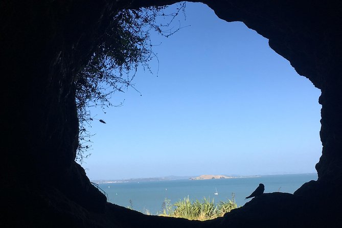 Devonport Volcanoes Afternoon Tour From Auckland - Meeting and Pickup