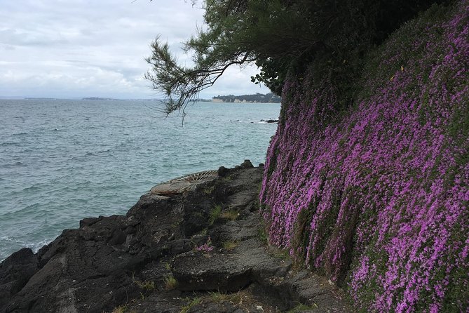 Devonport Volcanoes Afternoon Tour From Auckland - Tour Experience