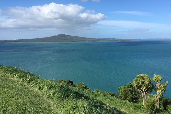 Devonport Volcanoes Afternoon Tour From Auckland - Common Questions