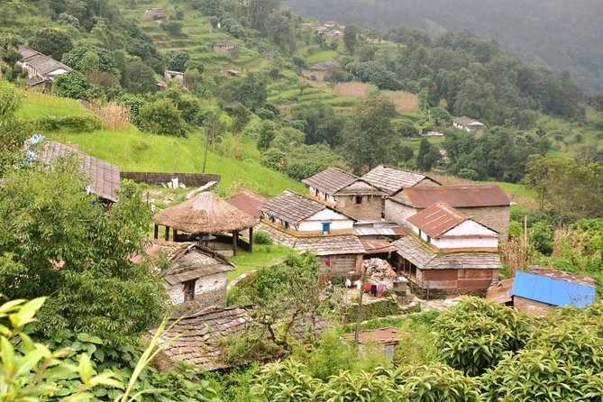 Dhampus Day Hiking From Pokhara - Cultural Experiences and Insights