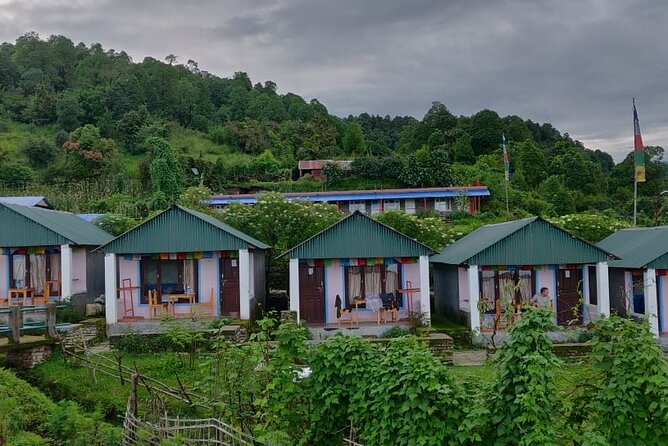 Dhampus Day Hiking From Pokhara - Local Guides and Their Expertise