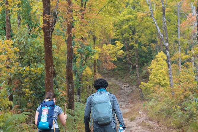 Dhampus Day Hiking Tour From Pokhara - What To Expect