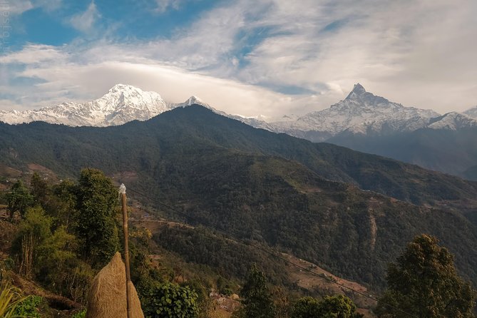 Dhampus Day Hiking Tour From Pokhara - Common Questions