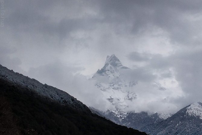 Dhampus Day Hiking Tour From Pokhara - The Sum Up