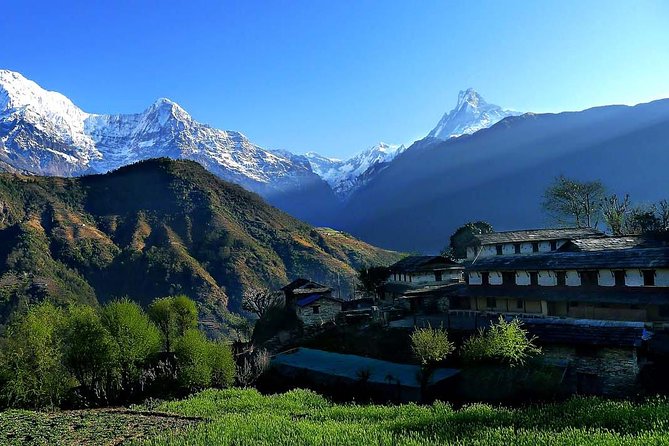 Dhampus Trek From Pokhara - Transportation to Kande