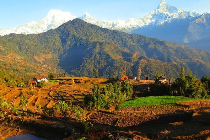 Dhampus Trek From Pokhara - Questions