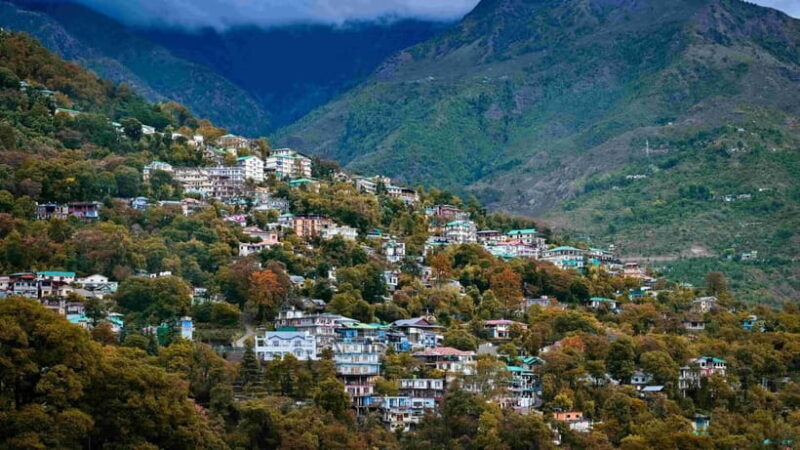 Dharamsala Half Day Sightseeing Tour - FAQs