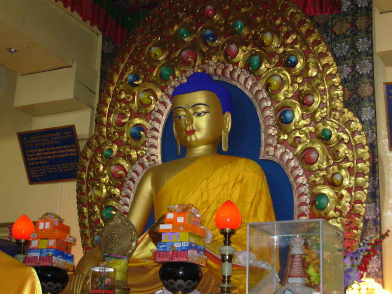 Dharamsala Spiritual & Cultural Highlights Private Tour - A day built around Dharamshala’s Tibetan center
