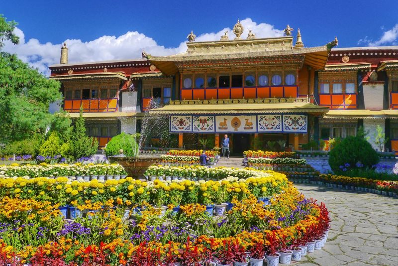 Dharamsala Spiritual & Cultural Highlights Private Tour - Lunch: included or chosen on the spot