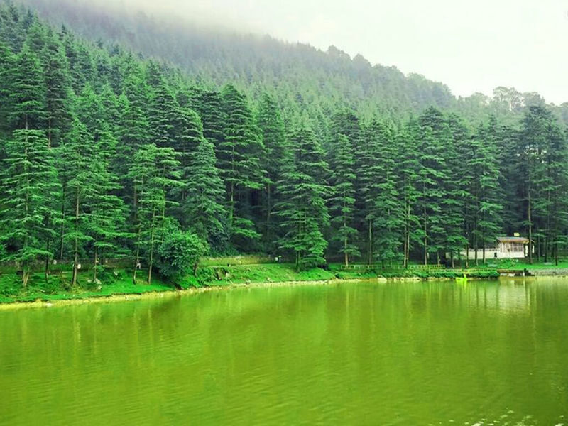 Dharamsala Spiritual & Cultural Highlights Private Tour - What the private car adds