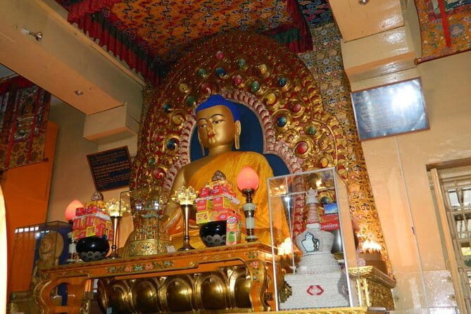 Dharamshala: Full Day Customizable City Sightseeing Tour - Authentic Experience and Guide Insights