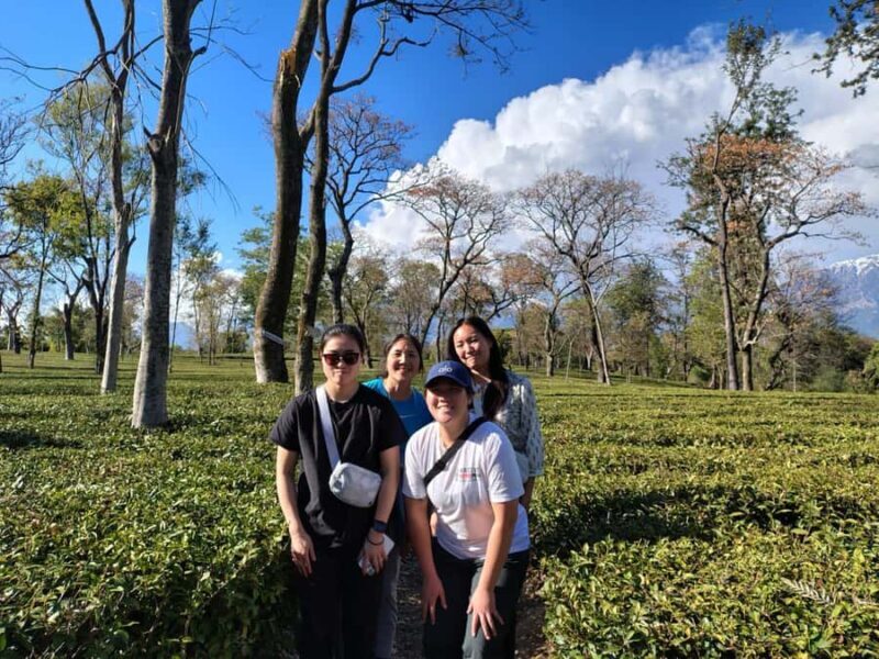 Dharamshala: Monasteries and Temples Private Day Trip - An In-Depth Look at the Experience