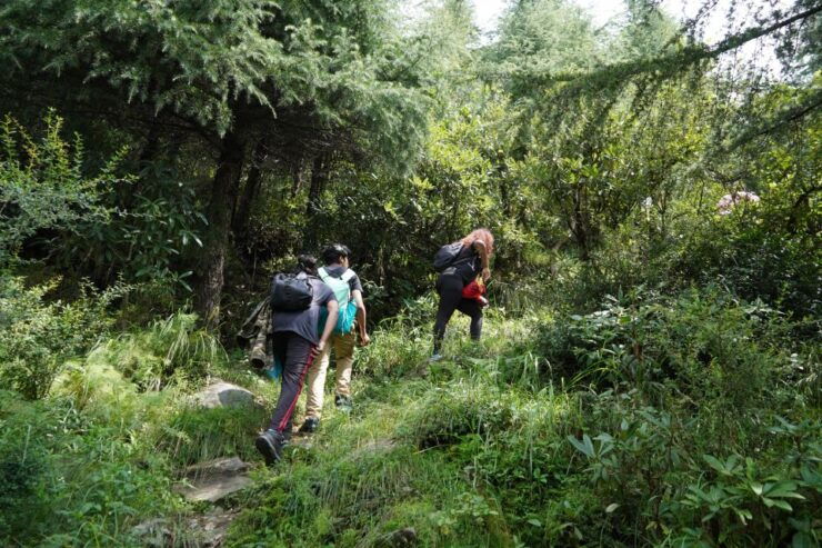 Dharamshala: Nature to Nutrition Gut Health Retreat - Inclusions and Exclusions