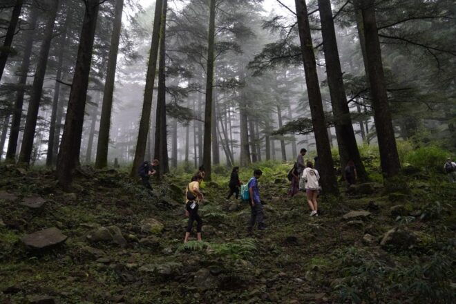 Dharamshala: Nature to Nutrition Gut Health Retreat - Important Information